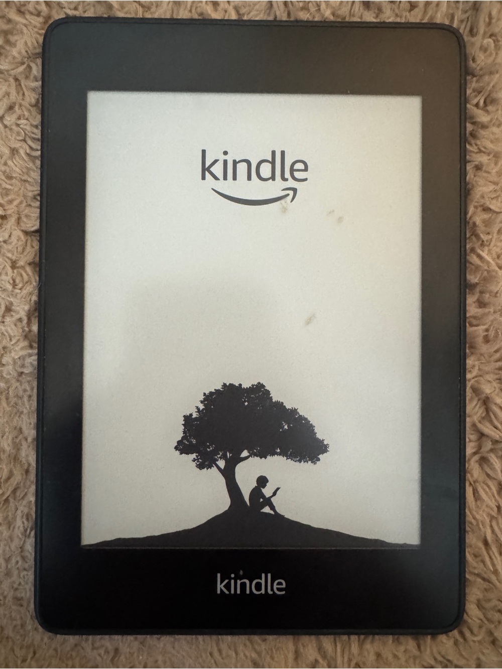Amazon Kindle Paperwhite (10th Generation) in Black and White Display